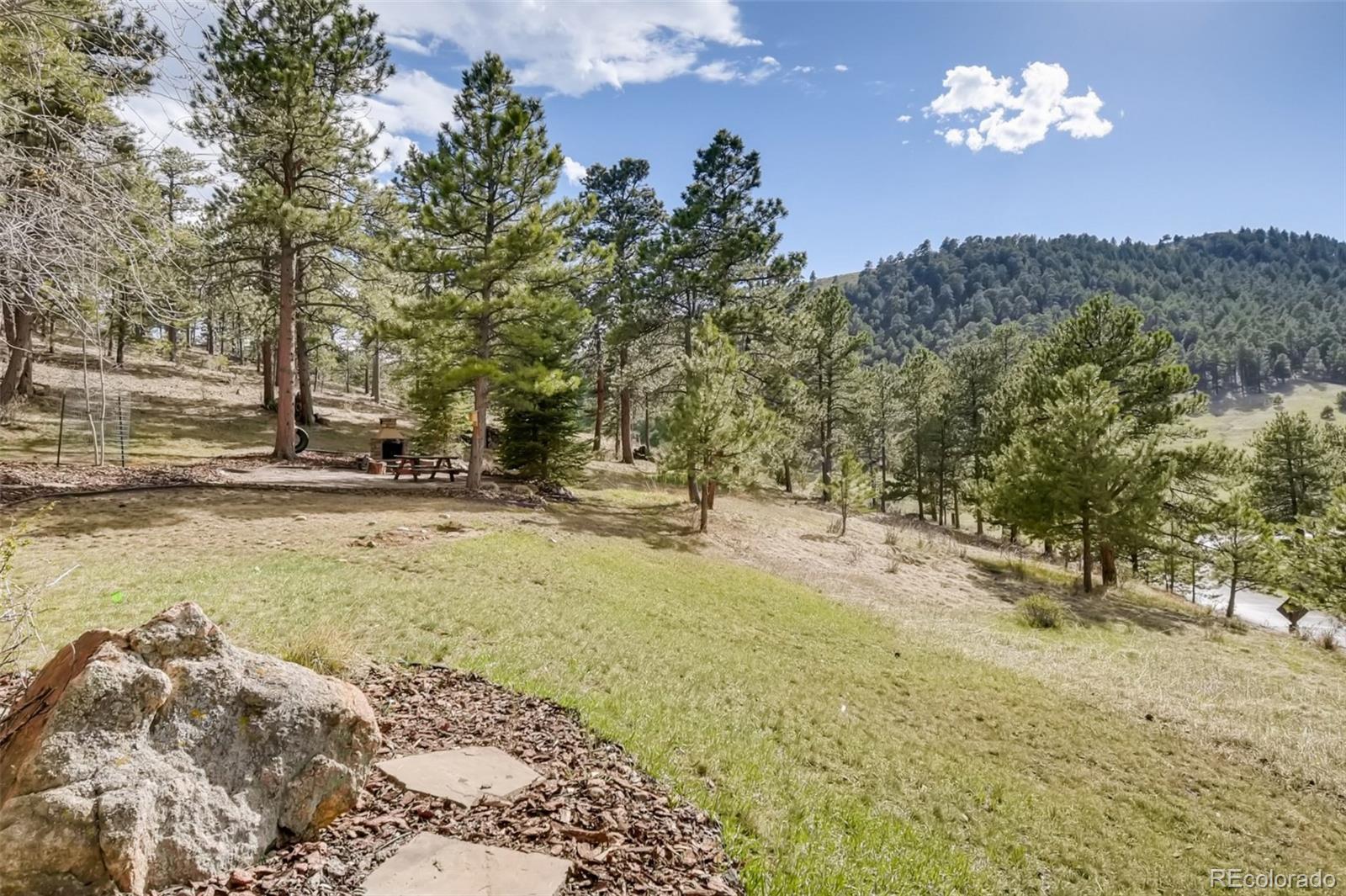 1265 Silver Rock Lane Evergreen, CO 80439 - Photo 30 of 35 a view of a yard with a tree