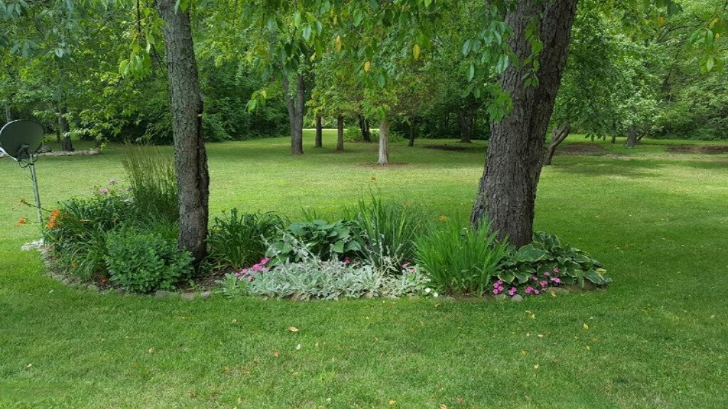 363 East Fenn Road Coldwater, MI 49036 - Photo 36 of 46 imagejpeg_0 (1)