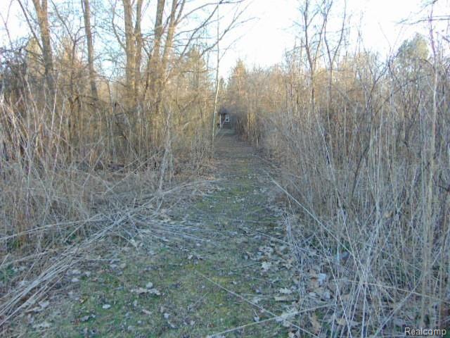 0 McKay Road Romeo, MI 48065 - Photo 4 of 24
