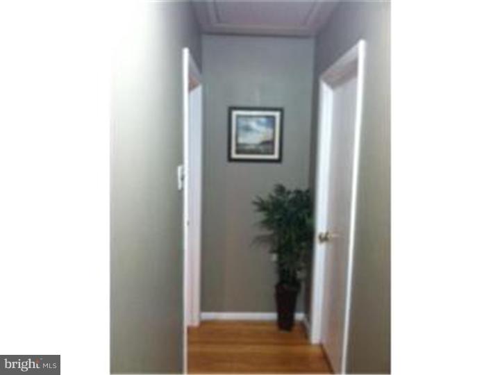 46 Ralston Avenue Havertown, PA 19083 - Photo 12 of 25 Hallway