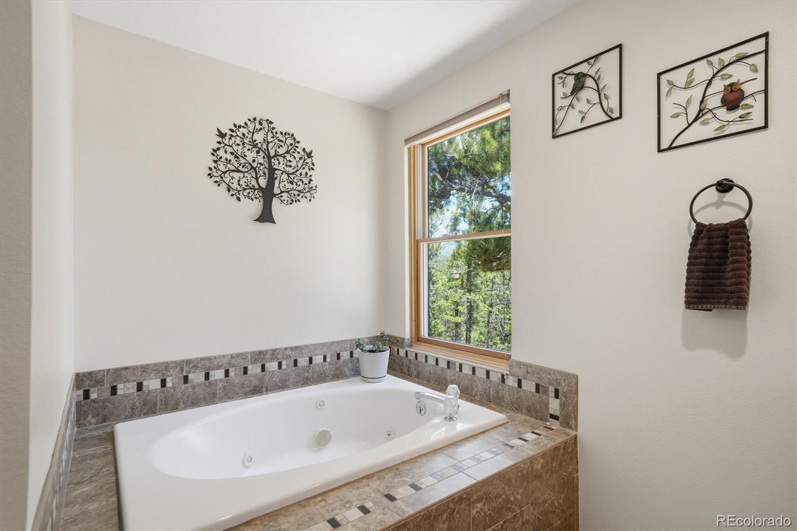 224 Hangmans Road Bailey, CO 80421 - Photo 14 of 31