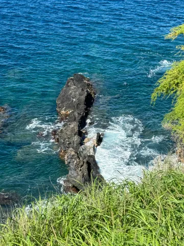 a view of yard with green space