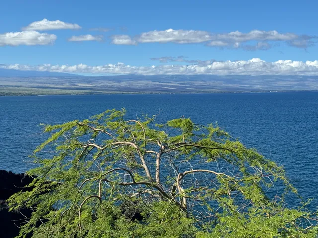 a fire hydrant in the middle of a field