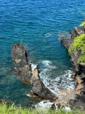 a view of a big yard