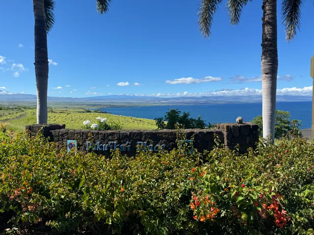 a view of a green field with lots of plants in it