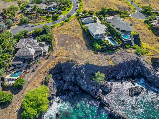 a view of a bunch of flowers