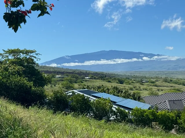 a view of a swimming pool with a yard
