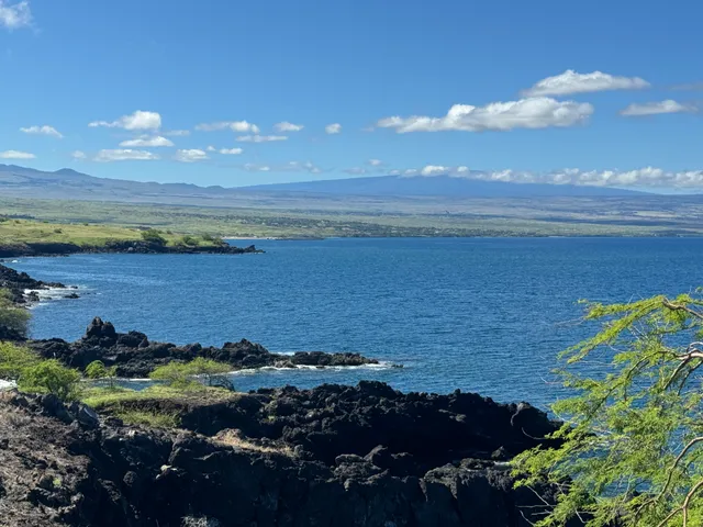 a view of a yard with an outdoor space
