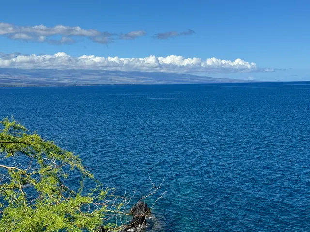 a view of a sky from a yard