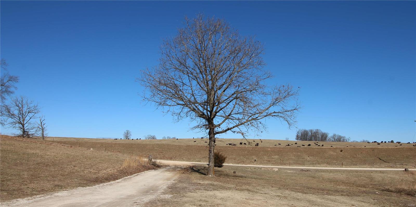 0 State Hwy Y Elk Creek, MO 65464 - Photo 1 of 18