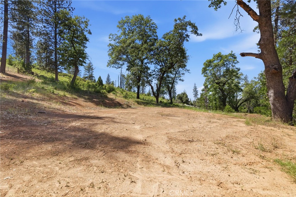 21552 Sprague Road West Groveland, CA 95321 - Photo 21 of 36 a view of dirt yard with a large tree