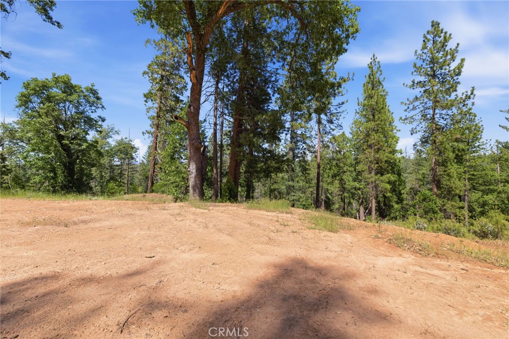 21552 Sprague Road West Groveland, CA 95321 - Photo 22 of 36 a outdoor space with lots of trees