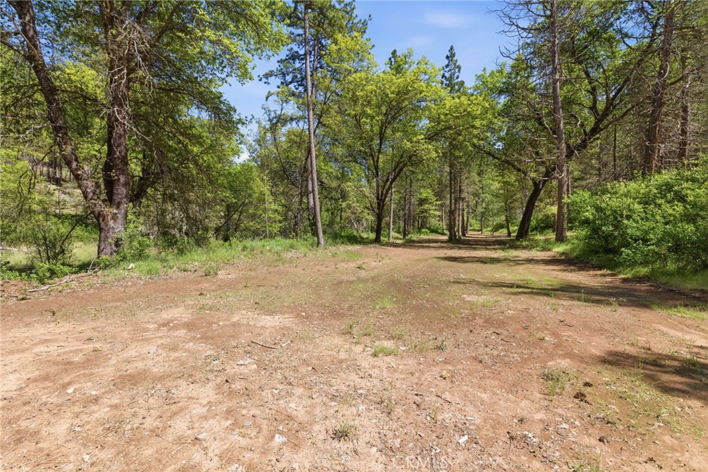 21552 Sprague Road West Groveland, CA 95321 - Photo 25 of 36 a view of outdoor space with trees all around