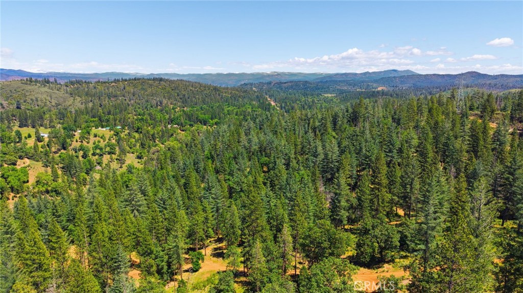 21552 Sprague Road West Groveland, CA 95321 - Photo 30 of 36 a view of a city with lush green forest