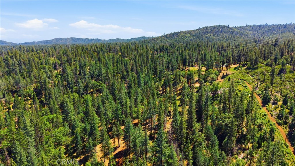21552 Sprague Road West Groveland, CA 95321 - Photo 31 of 36 a view of a lush green forest with a lake