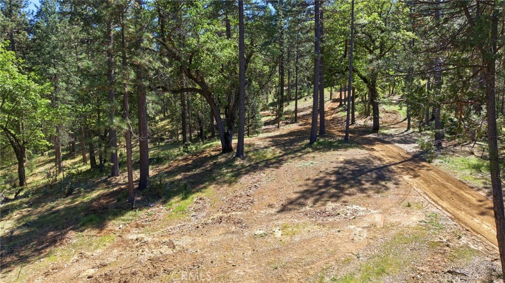 21552 Sprague Road West Groveland, CA 95321 - Photo 35 of 36 a view of a road with trees in the background
