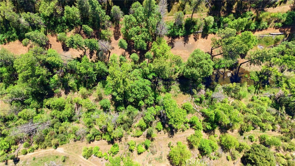 21552 Sprague Road West Groveland, CA 95321 - Photo 36 of 36 a view of a garden