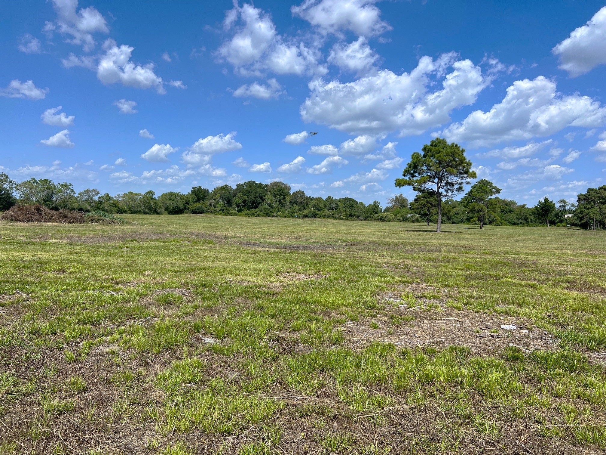 7782 County Road 203 Liverpool, TX 77577 - Photo 5 of 18 Make your vision a reality!