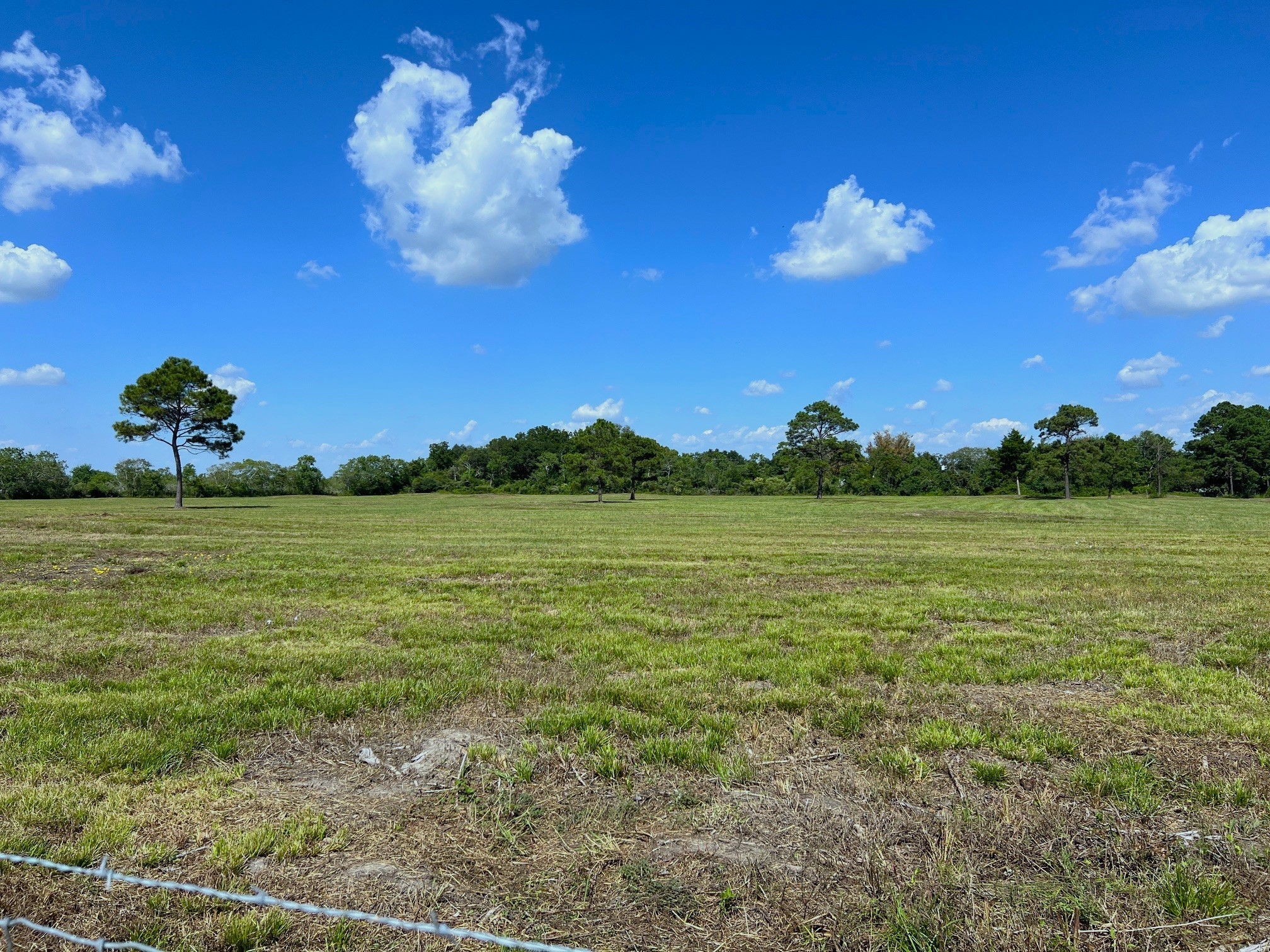 7782 County Road 203 Liverpool, TX 77577 - Photo 6 of 18