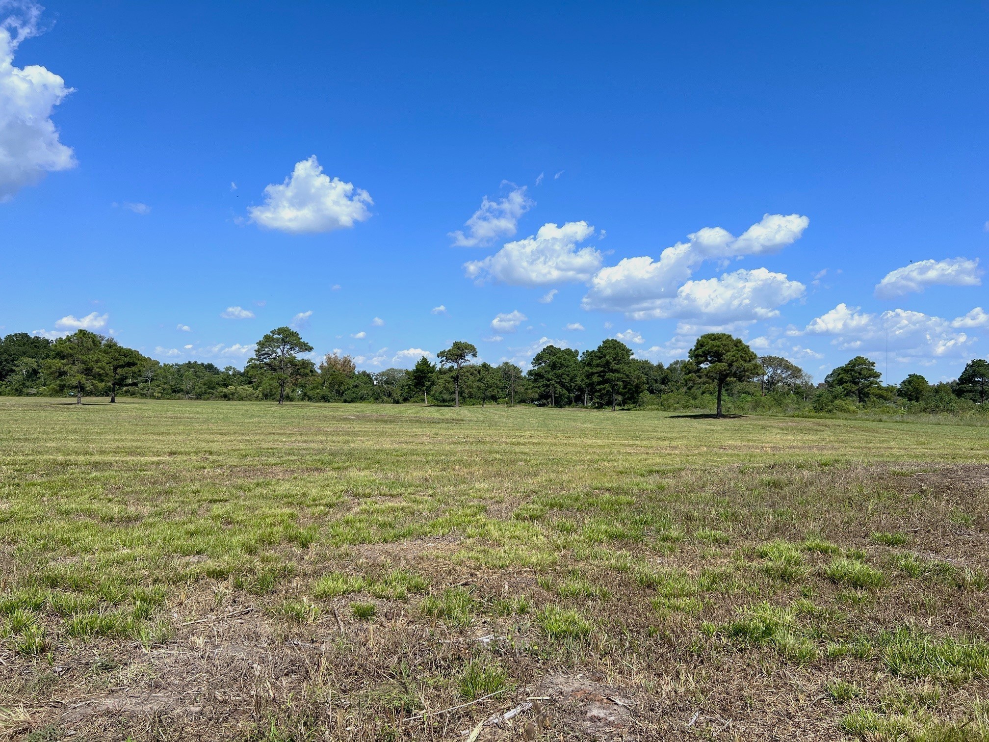 7782 County Road 203 Liverpool, TX 77577 - Photo 7 of 18