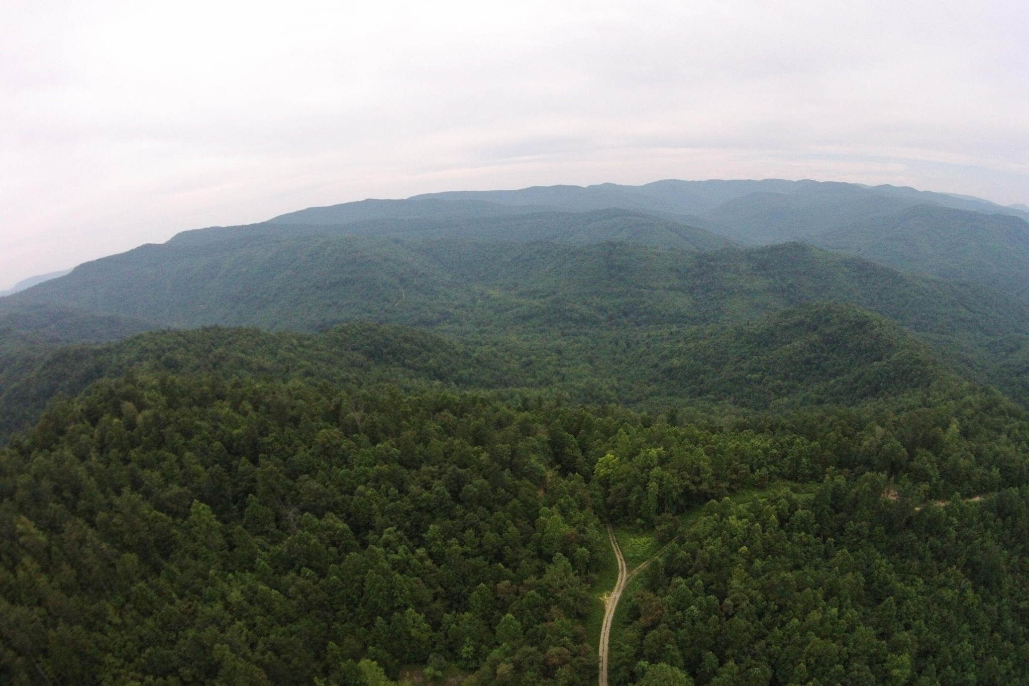 2 Straight Fork Road Huntsville, TN 37756 - Photo 7 of 13