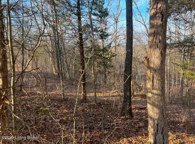 1008 Pattons Creek Road Pendleton, KY 40055 - Photo 34 of 40 1008 Patton Creek Rd