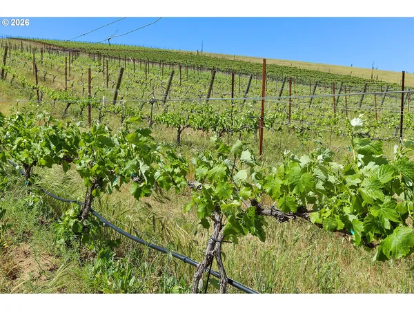 $799,000 | 5073 Chenoweth Road, The Dalles, OR 97058