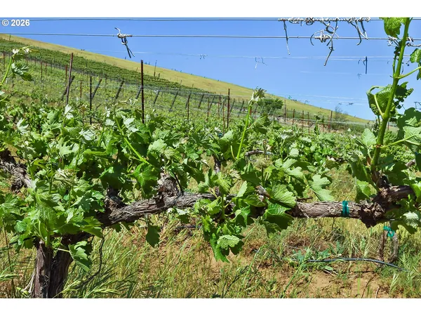 $799,000 | 5073 Chenoweth Road, The Dalles, OR 97058