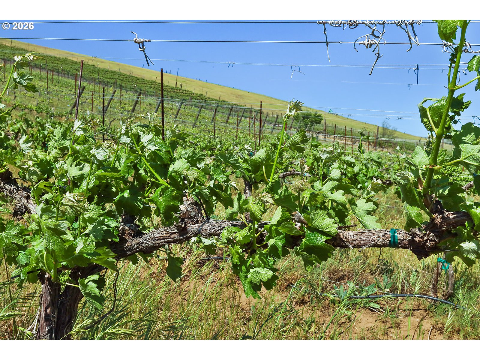 5073 Chenoweth Road The Dalles, OR 97058 - Photo 30 of 36