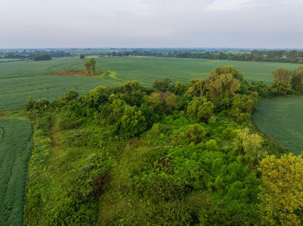 Tbd Southwest 1300 Road Chilhowee, MO 64733 - Photo 44 of 67 Gallery Image 44