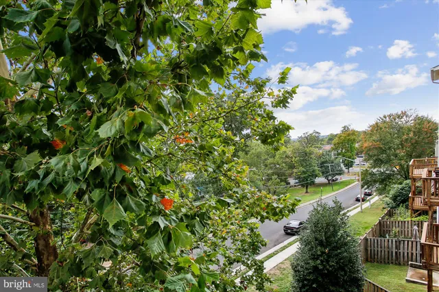 $800,000 | 3335 Beechcliff Drive, Alexandria, VA 22306