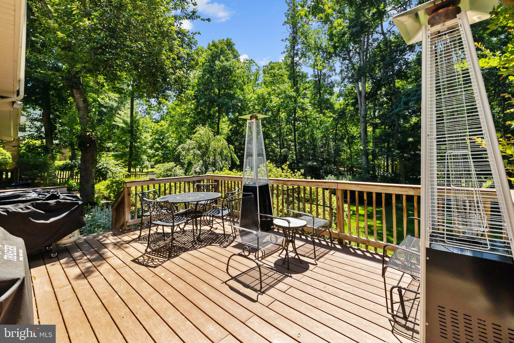 12007 Turf Lane Reston, VA 20191 - Photo 59 of 69