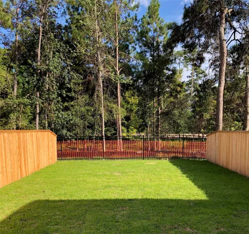 a view of a park with large trees