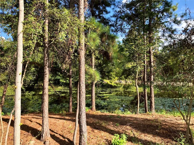 a view of a yard with plants