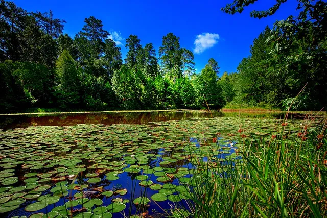 a view of swimming pool with outdoor seating