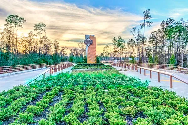 a view of a lake with a yard and large trees