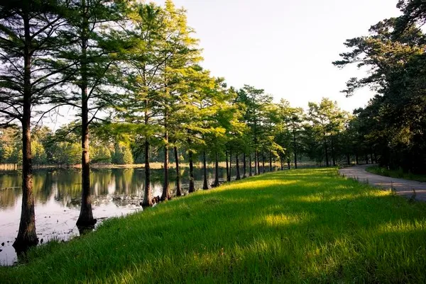 $2,000 | 215 Moon Dance Court, Conroe, TX 77304
