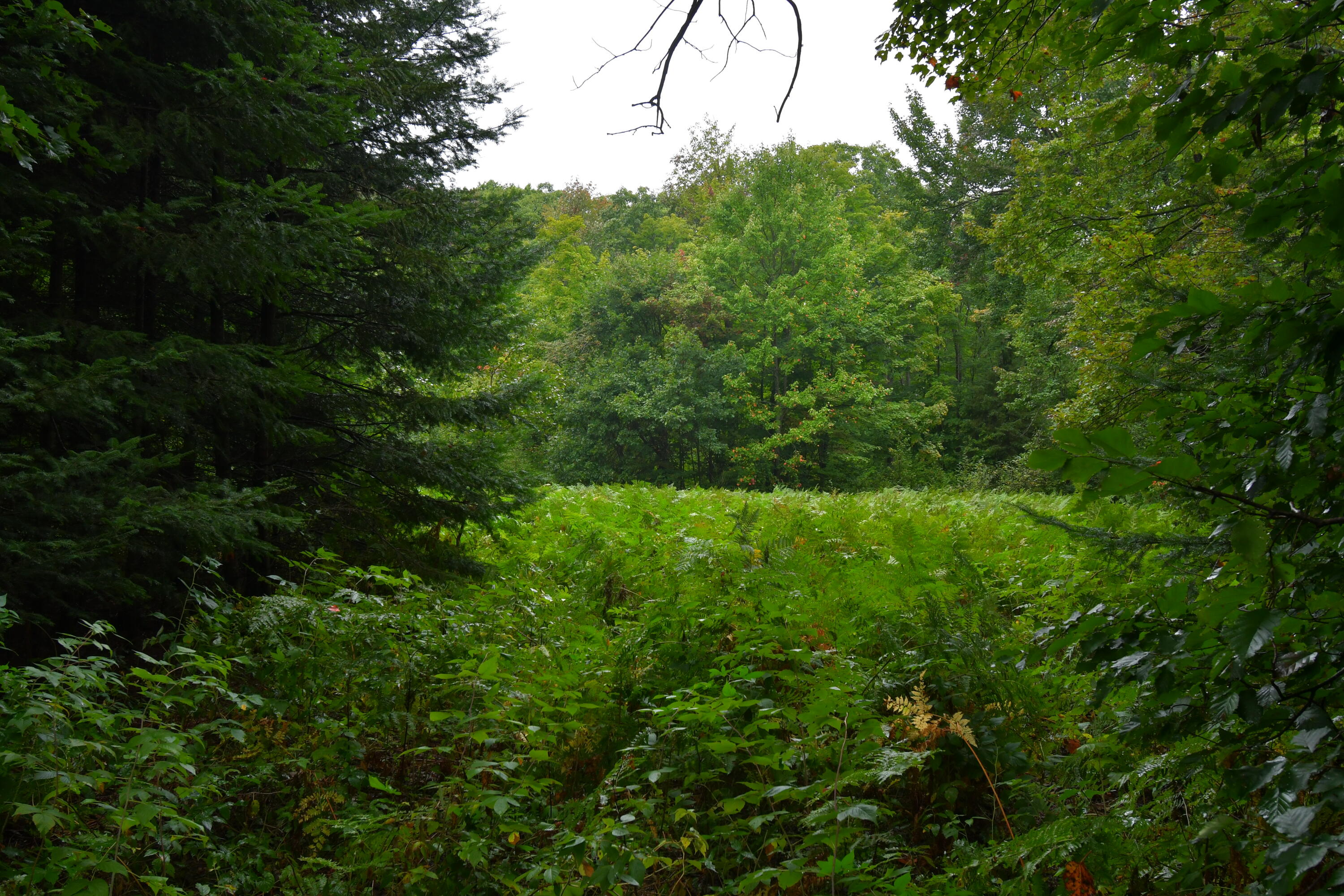 23 East 23 Mile Road Pickford, MI 49774 - Photo 37 of 47 Gallery Image 37