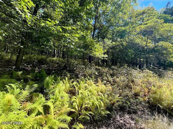 $24,900 | Lot 426 Squirrel Road, Dingmans Ferry, PA 18328