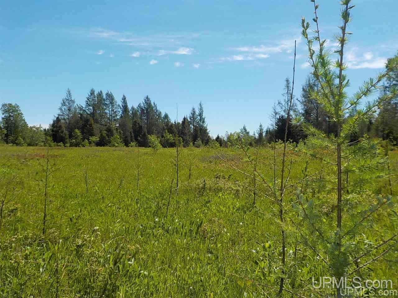 488 Triangle Ranch Road Amasa, MI 49903 - Photo 36 of 45