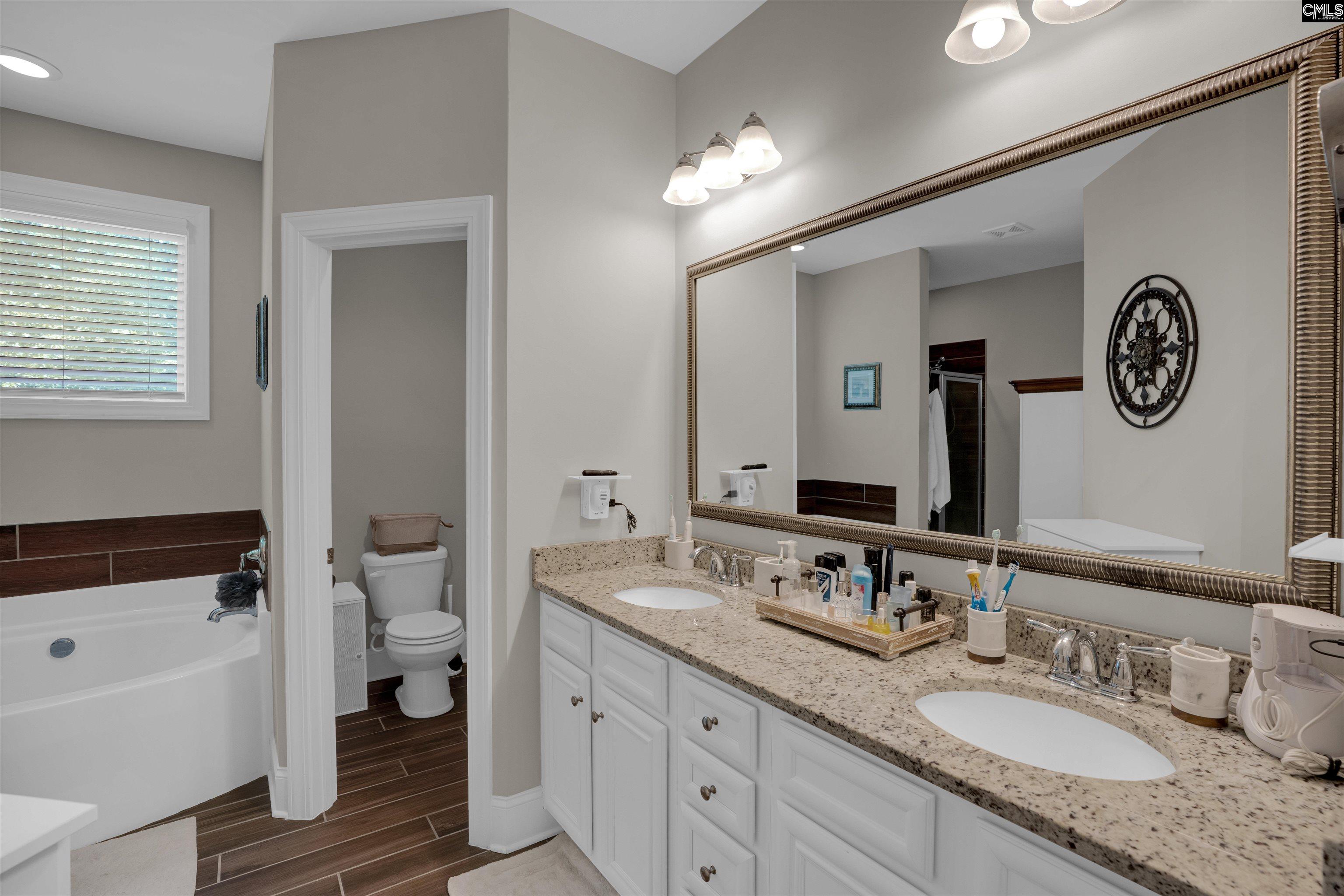 238 Hilton View Court Chapin, SC 29036 - Photo 9 of 63