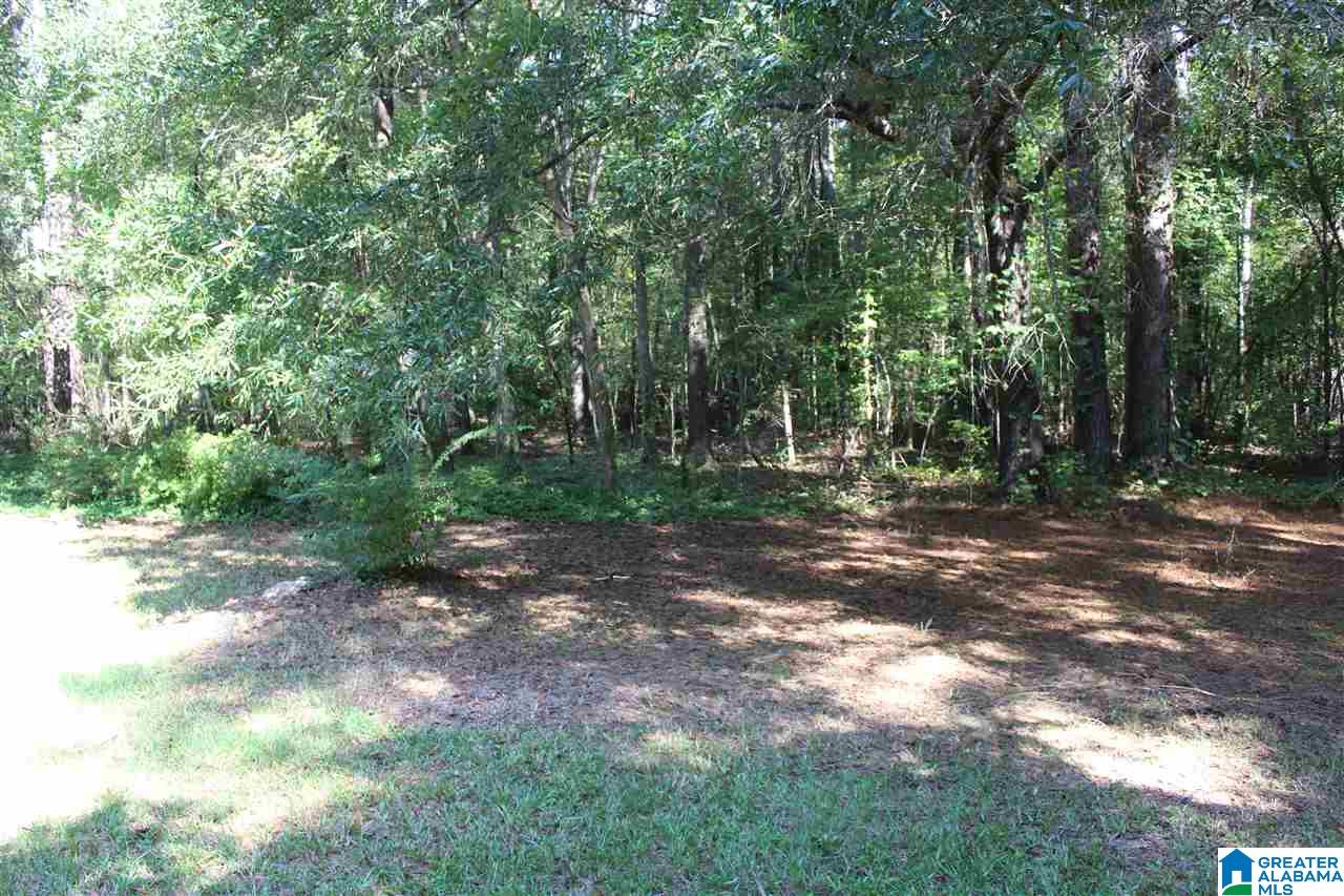 4647 Choccolocco Road Anniston, AL 36207 - Photo 31 of 32