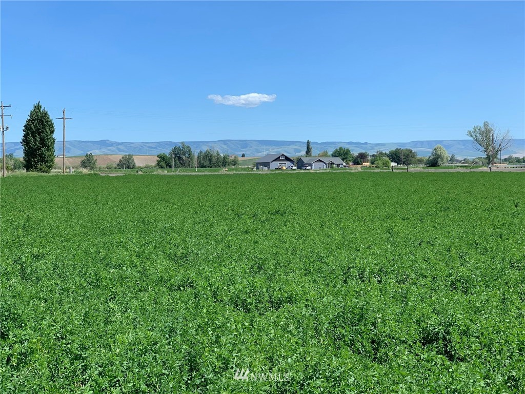 2 Locher Road Touchet, WA 99360 - Photo 5 of 11