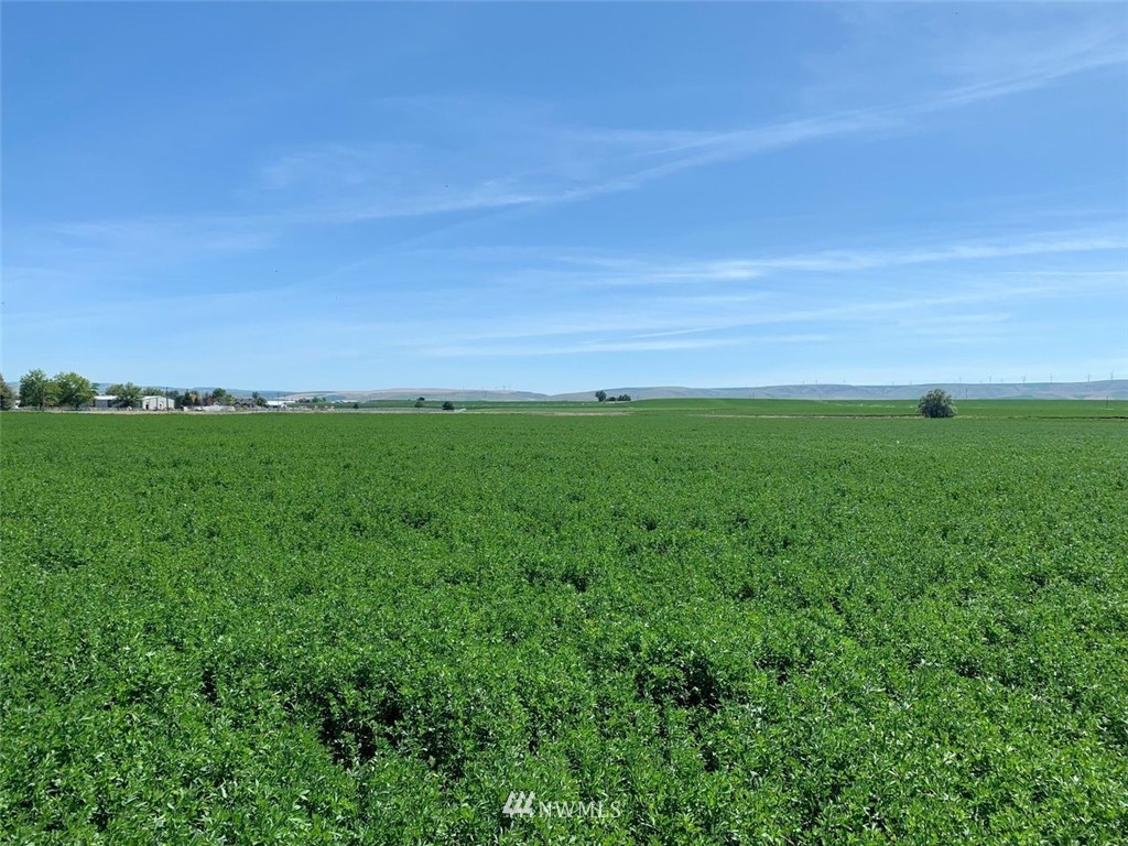 2 Locher Road Touchet, WA 99360 - Photo 8 of 11