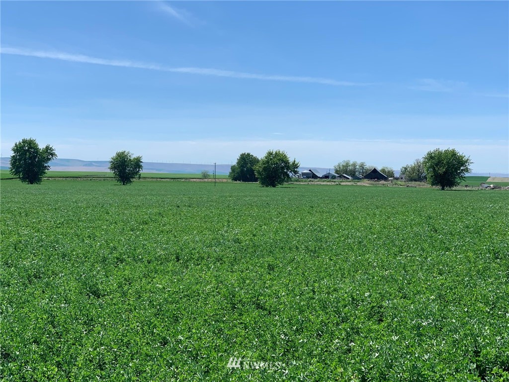 2 Locher Road Touchet, WA 99360 - Photo 9 of 11