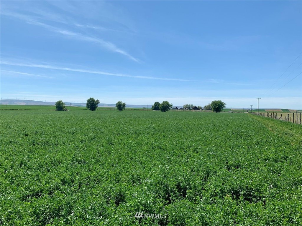 2 Locher Road Touchet, WA 99360 - Photo 10 of 11