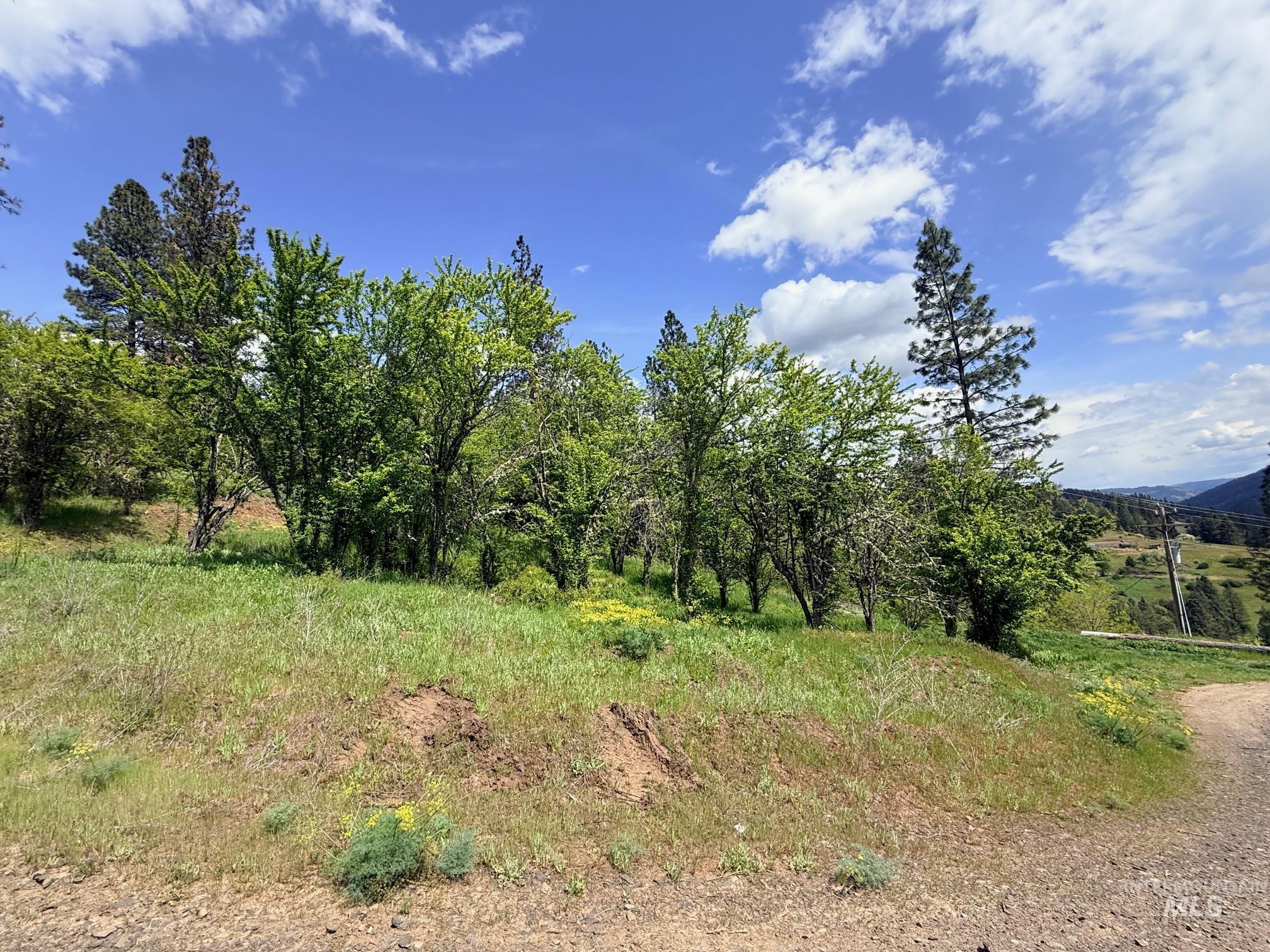 620 Old Peck Grade Lenore, ID 83541 - Photo 43 of 45