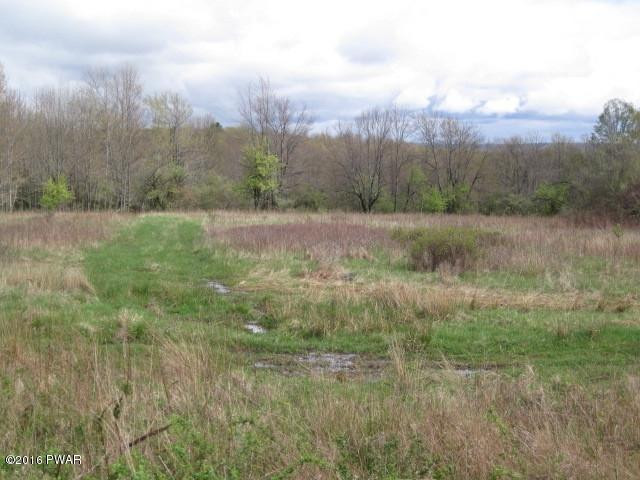 Everly Rd Lake Lake Ariel, PA 18436 - Photo 3 of 4