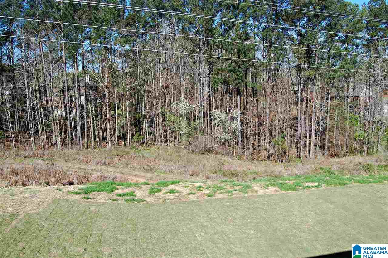 4700 Jackson Loop Birmingham, AL 35242 - Photo 21 of 32