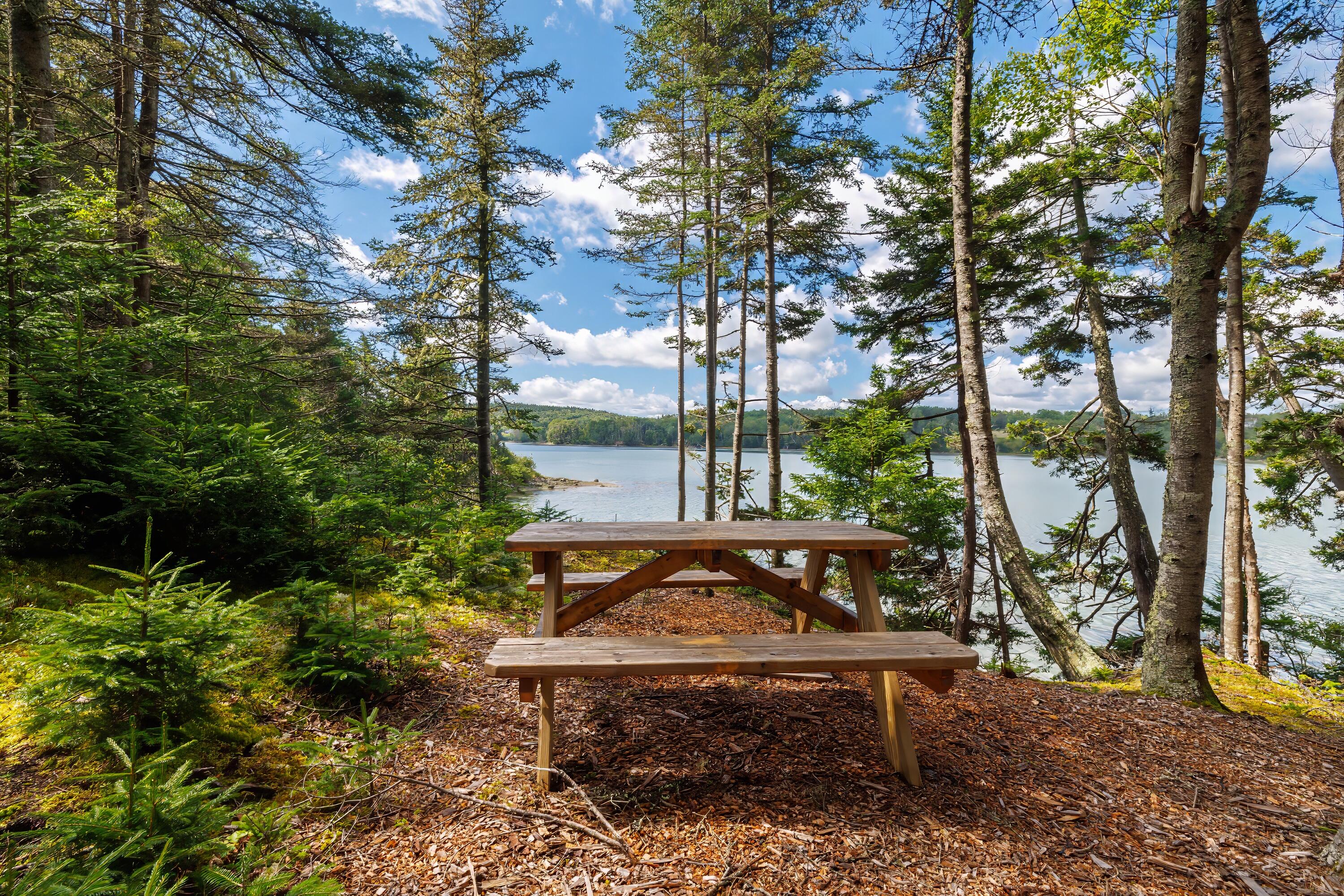 126 Holway Point Road Machias, ME 04654 - Photo 14 of 104 79-126 Holway Point HiRes-DTP
